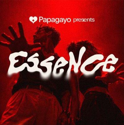 Essence - Papagayo